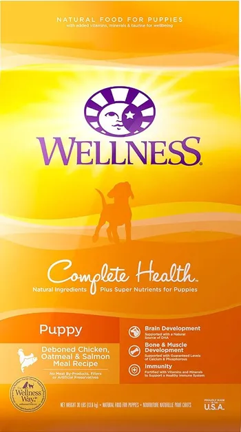 dog food for bernedoodles