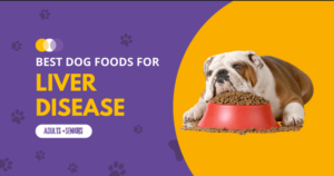 best-dog-food-for-liver-disease-780x439