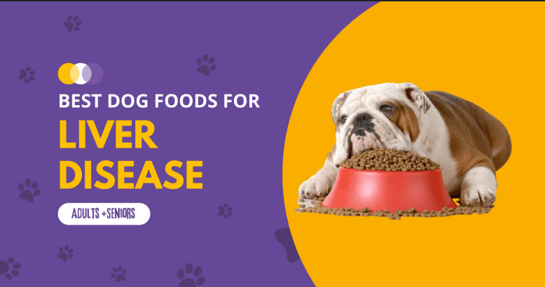 best-dog-food-for-liver-disease-780x439