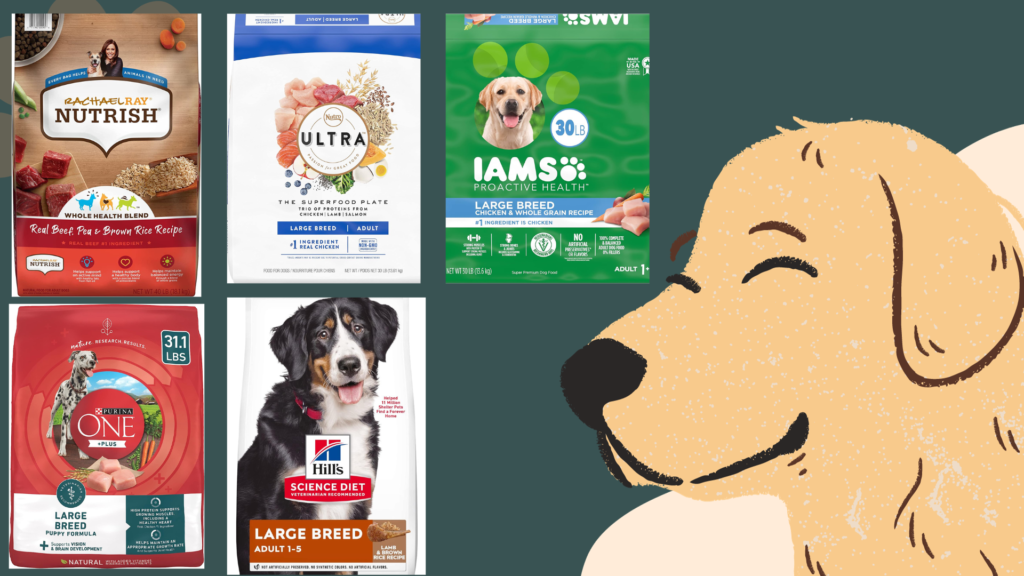 Yellow & Red Colorful Cartoon Illustrative Dog Animated Presentation Best dog foods for large breeds