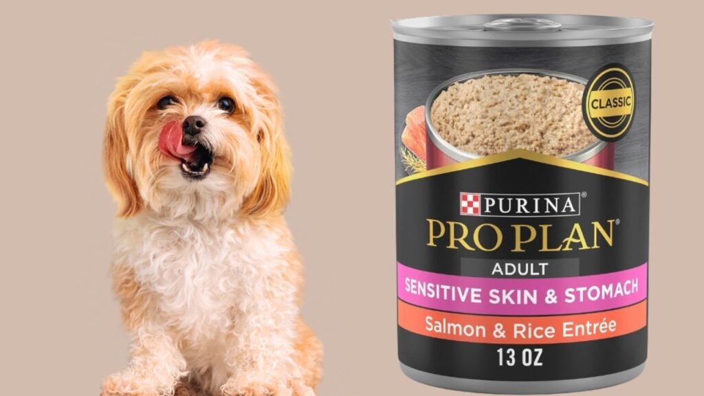 Purina Pro Plan Sensitive Skin and Stomach Wet Dog Food Pate Salmon and Rice Entree - (12) 13 oz. Cans