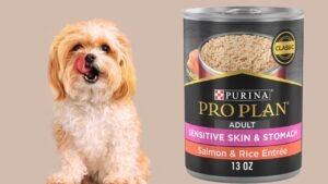 Purina Pro Plan Sensitive Skin and Stomach Wet Dog Food Pate Salmon and Rice Entree - (12) 13 oz. Cans