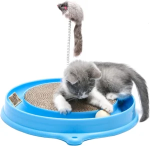 Affordably Perfect: Delving into the AUOON Cat
