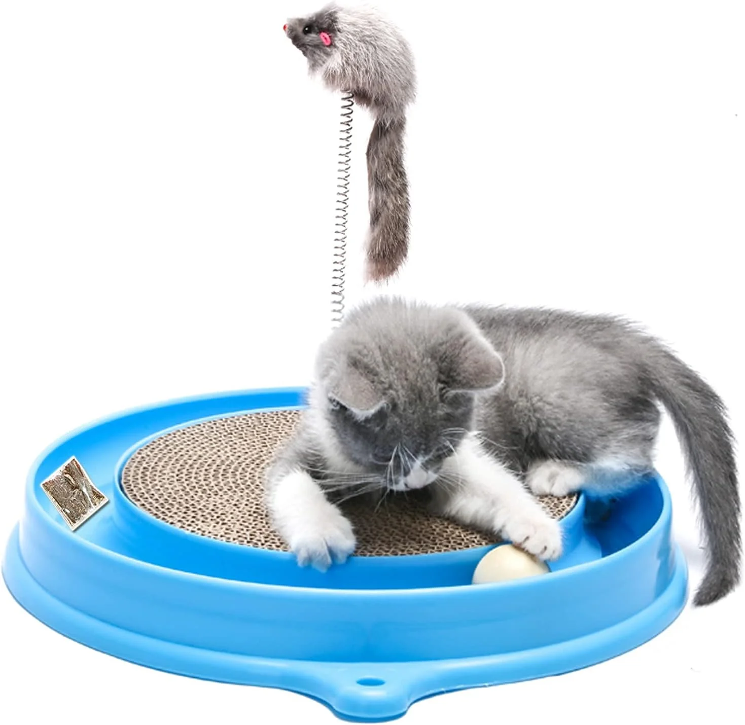 Affordably Perfect: Delving into the AUOON Cat