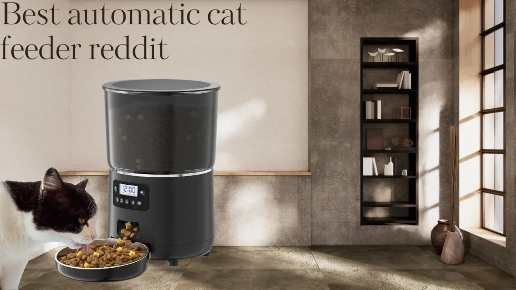 Best automatic cat feeder reddit