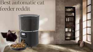 Best automatic cat feeder reddit