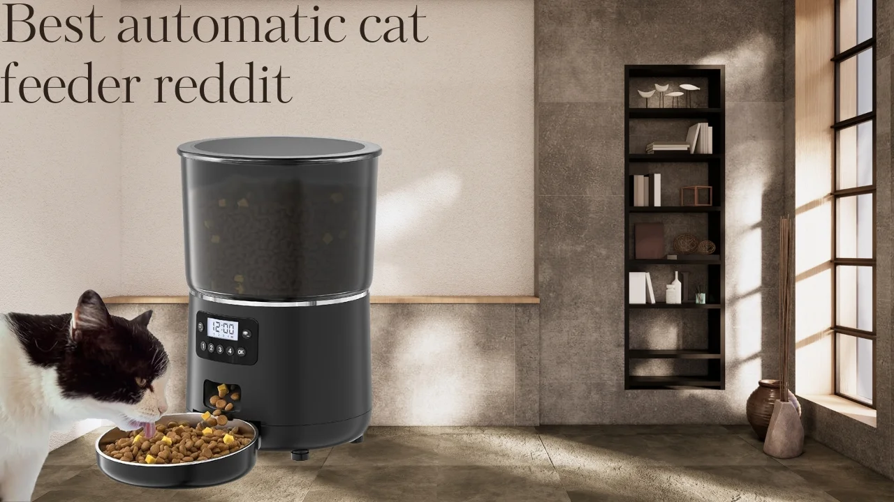 Best automatic cat feeder reddit