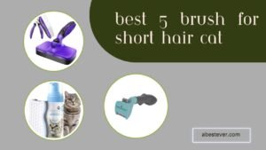 Best brush for short hair cat