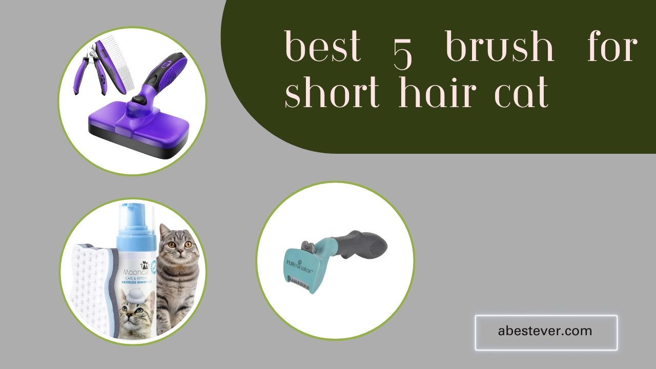 Best brush for short hair cat