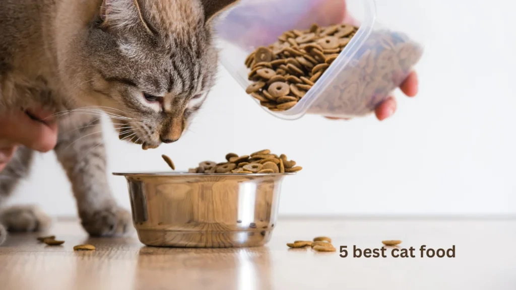 best cat food for kidney disease