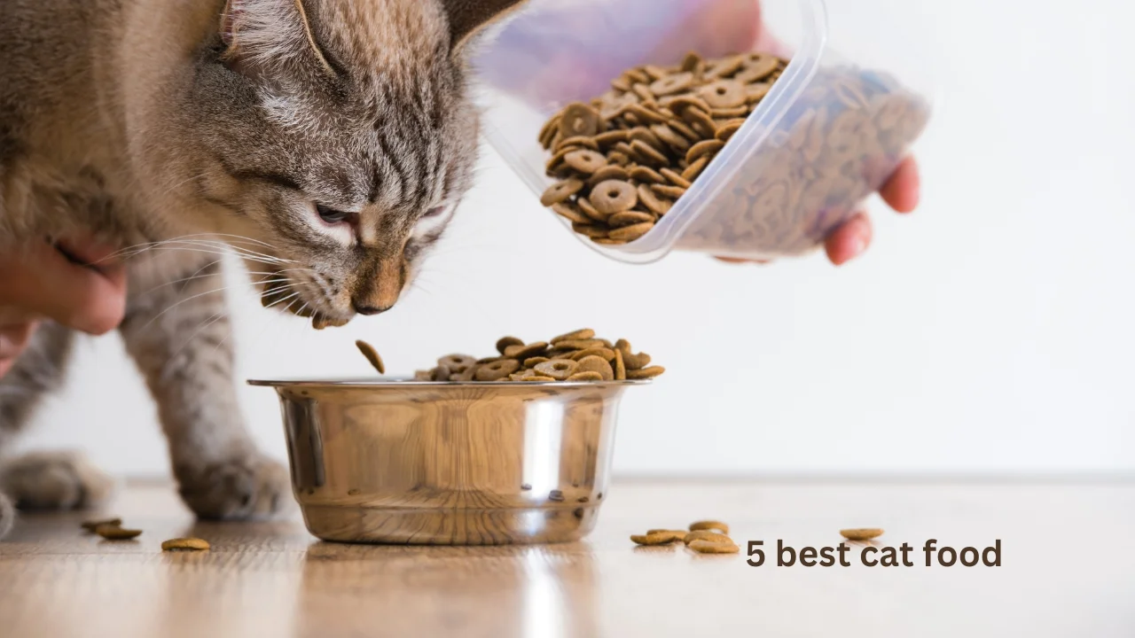 best cat food for kidney disease