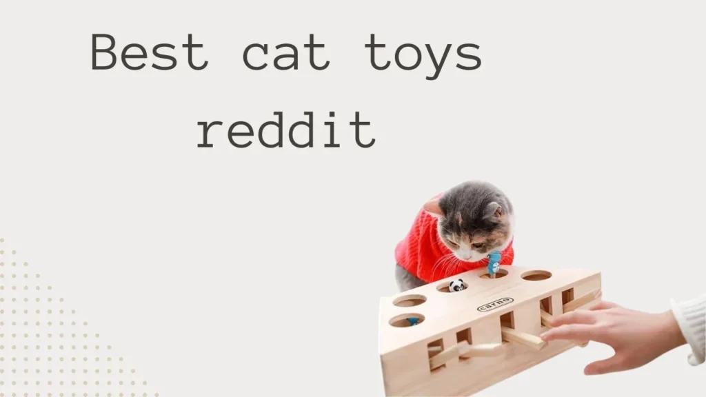 Best cat toys reddit