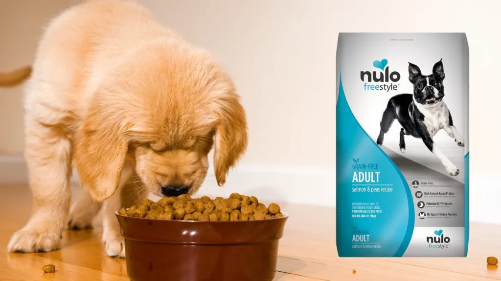 Nulo Freestyle Adult Dog Food, Premium All Natural Grain-Free Dry Small Kibble Dog Food, with BC30 Probiotic for Healthy Digestion, and High Animal-Based