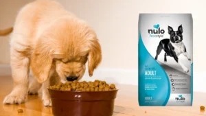 Nulo Freestyle Adult Dog Food, Premium All Natural Grain-Free Dry Small Kibble Dog Food, with BC30 Probiotic for Healthy Digestion, and High Animal-Based