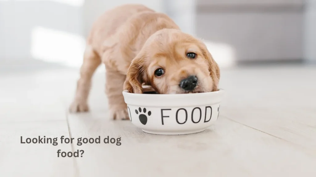 best dog food for dobermans