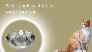 Best stainless steel cat water fountain