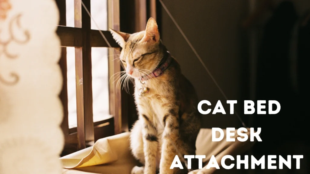 Cat bed desk attachment