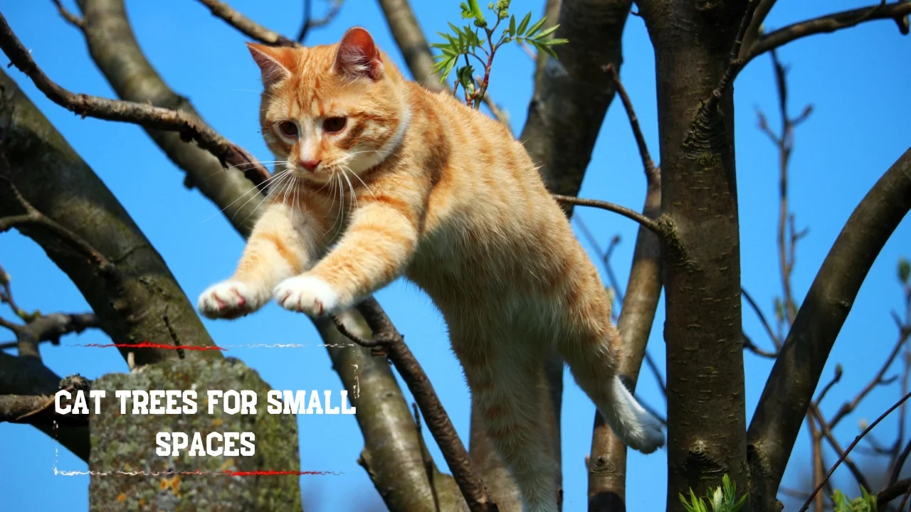 Cat trees for small spaces