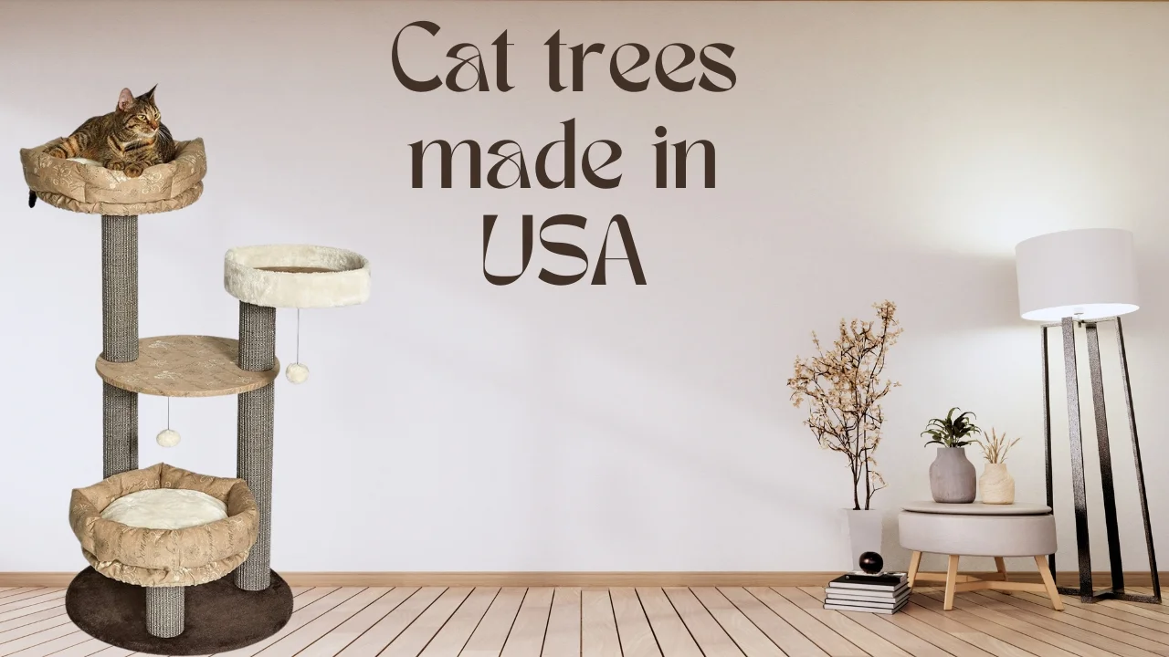 Cat trees made in USA