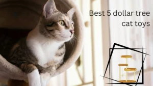 Dollar tree cat toys