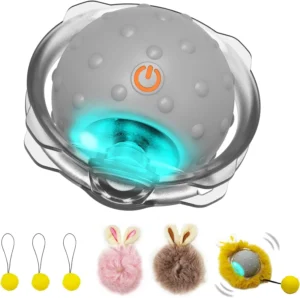 Elevate Playtime with AUKL Interactive Cat
