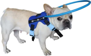 Enhancing Canine Safety HQSLC Blind Dog Harness Guiding Device Review