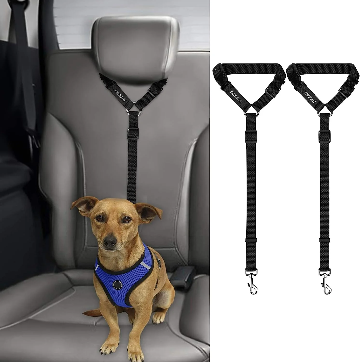 Ensuring pawsome journeys a comprehensive review