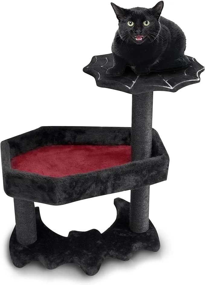 Exploring the Meow Sir Floor to Ceiling Cat Tree