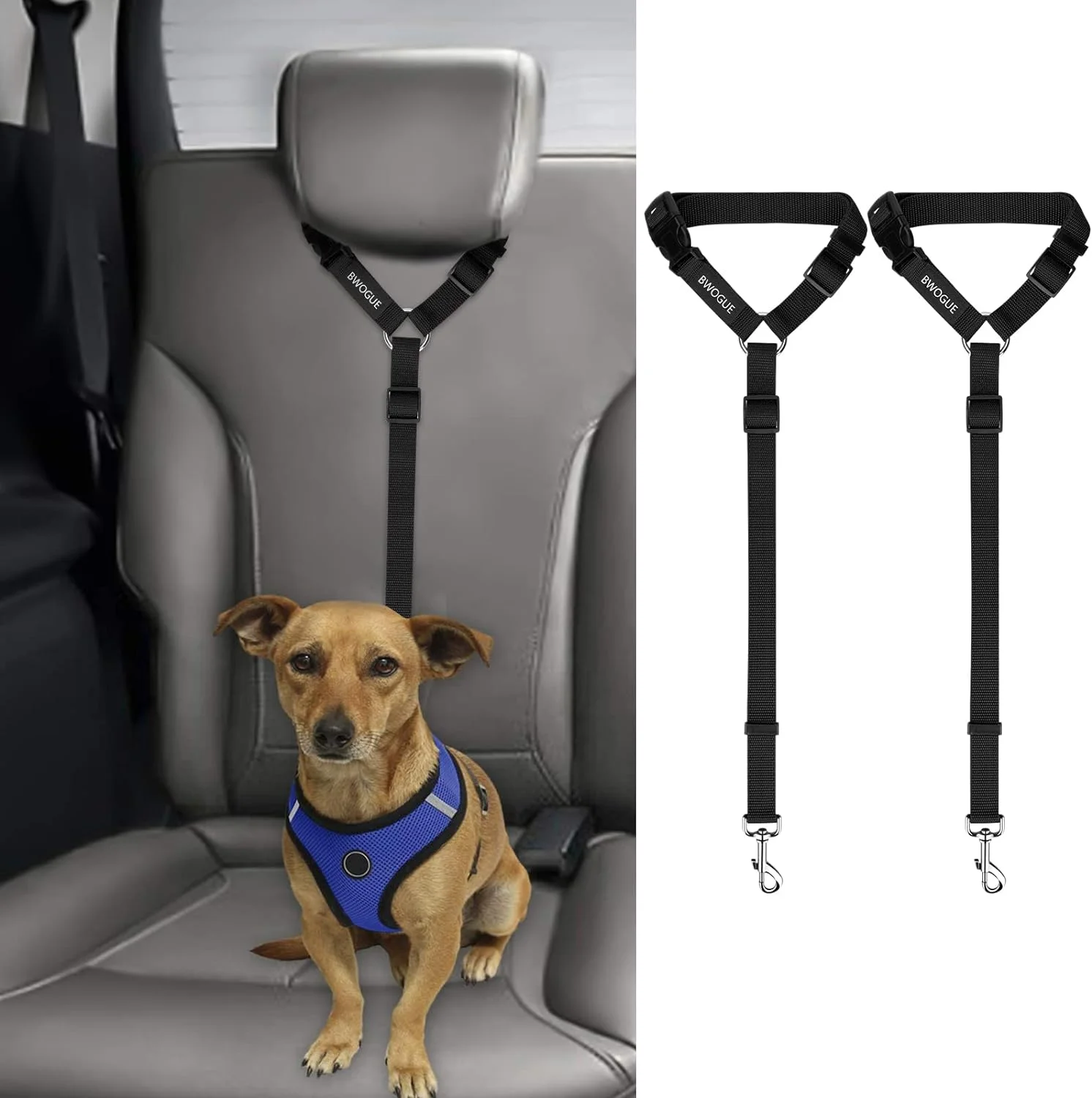Inteoducing the bwogue 2 packs dog cat safety seat belt