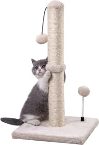 MECOOL Cat Scratching Post: Budget-friendly
