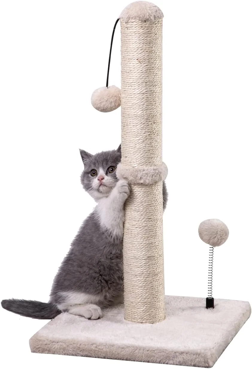 MECOOL Cat Scratching Post: Budget-friendly