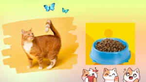 Sheba cat food review