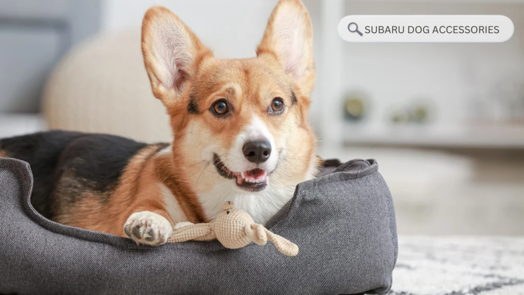 Subaru dog accessories