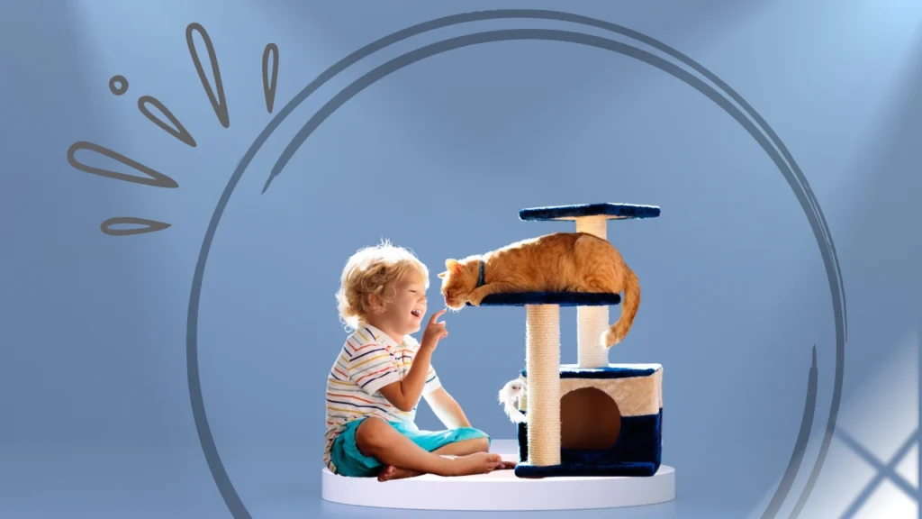 Toys for blind cats