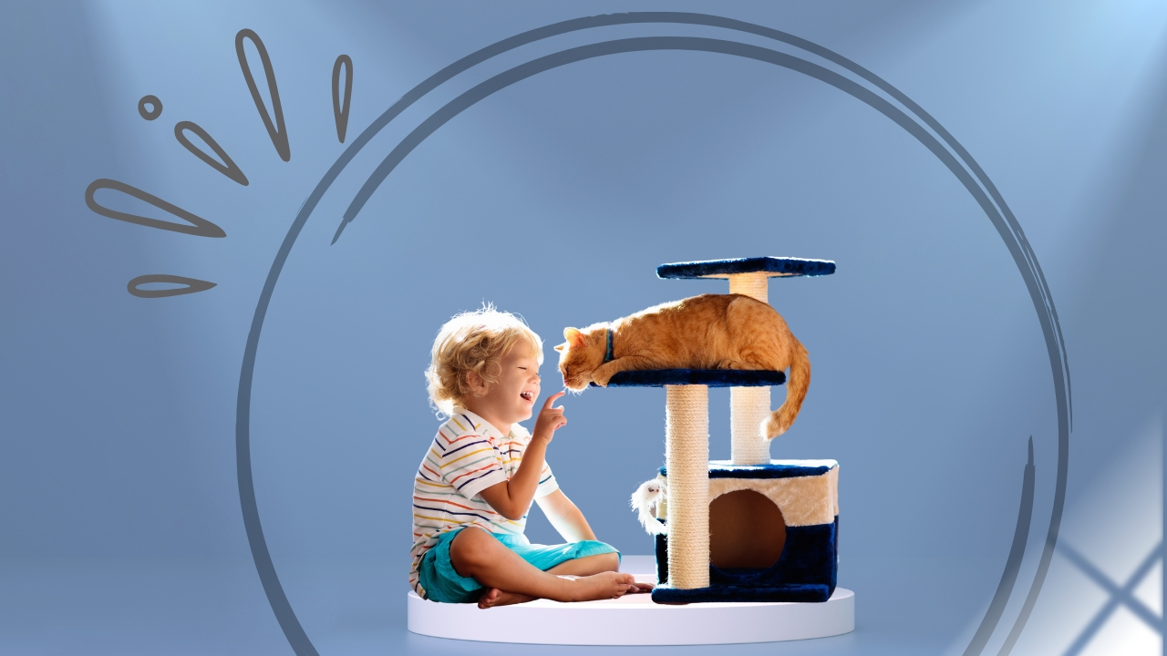 Toys for blind cats