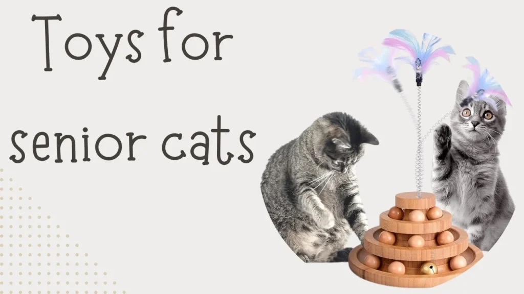 Toys for senior cats
