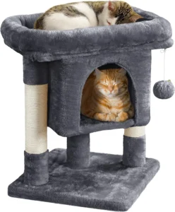 Unleashing Comfort: Yaheetech 23.5in Cat Tree