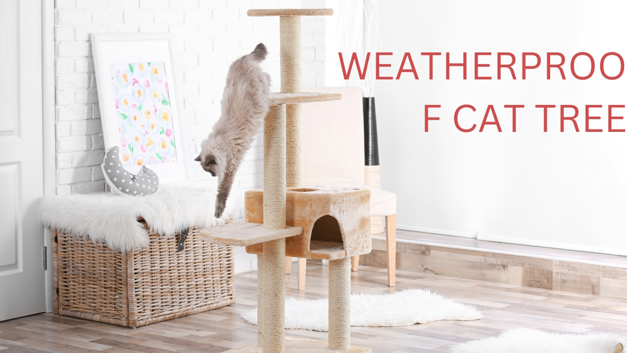 Weatherproof cat tree