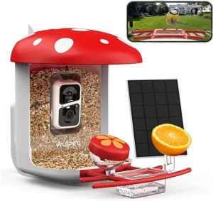 Bird Buddy accessories: Exploring the World of Bird Feeder with Camera