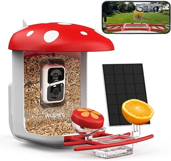 Bird Buddy accessories: Exploring the World of Bird Feeder with Camera