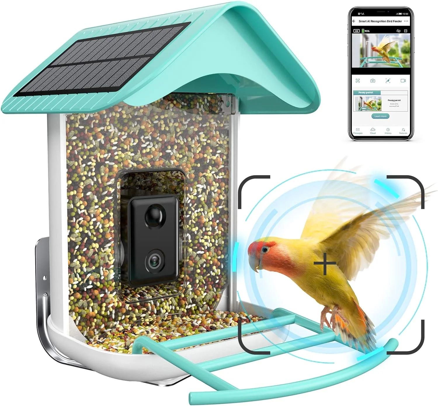 Bird Camera Auto Capture Birds and Notify: A Revolution in Bird Watching