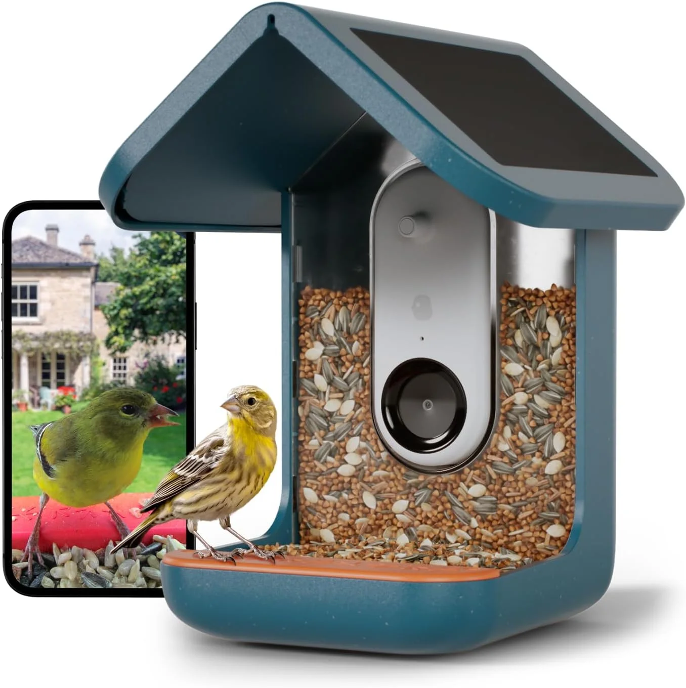 Enhance Your Backyard Birding Experience with BIRD BUDDY® Original Smart Bird Feeder