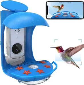 Hummingbird Feeder with Camera: Experience Nature Up Close