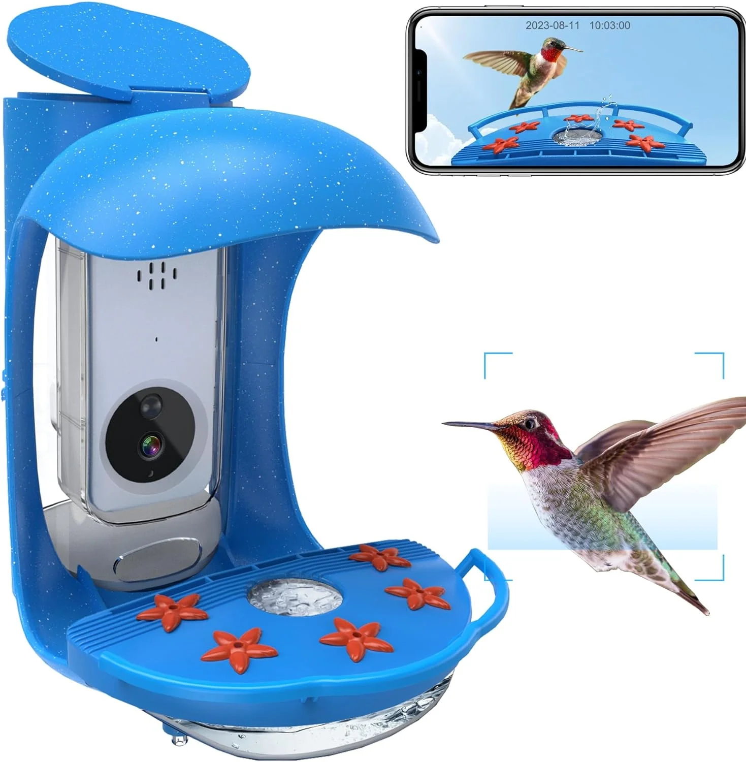 Hummingbird Feeder with Camera: Experience Nature Up Close