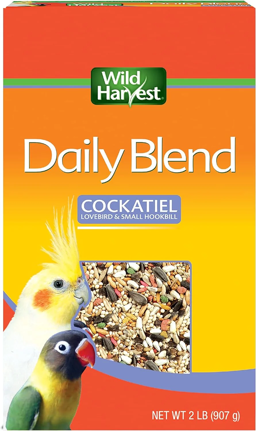 Nourishing Your Feathered Friend: Exploring Diet Bird Nutrition
