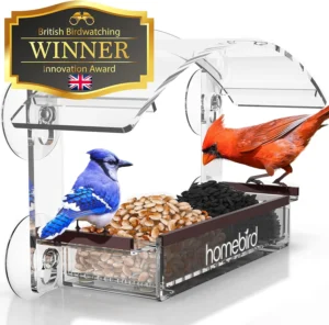Window Bird Feeder with Strong Suction Cups: The Ultimate Bird Watching Experience