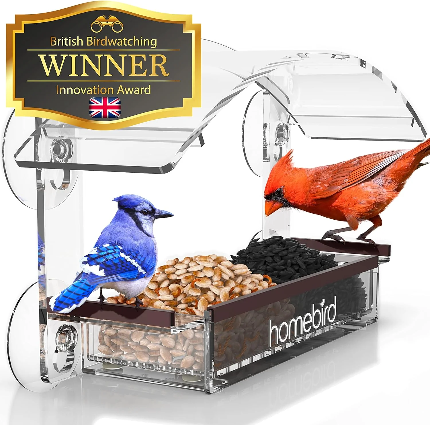 Enhance Your View: Window Bird Feeder with Strong Suction Cups