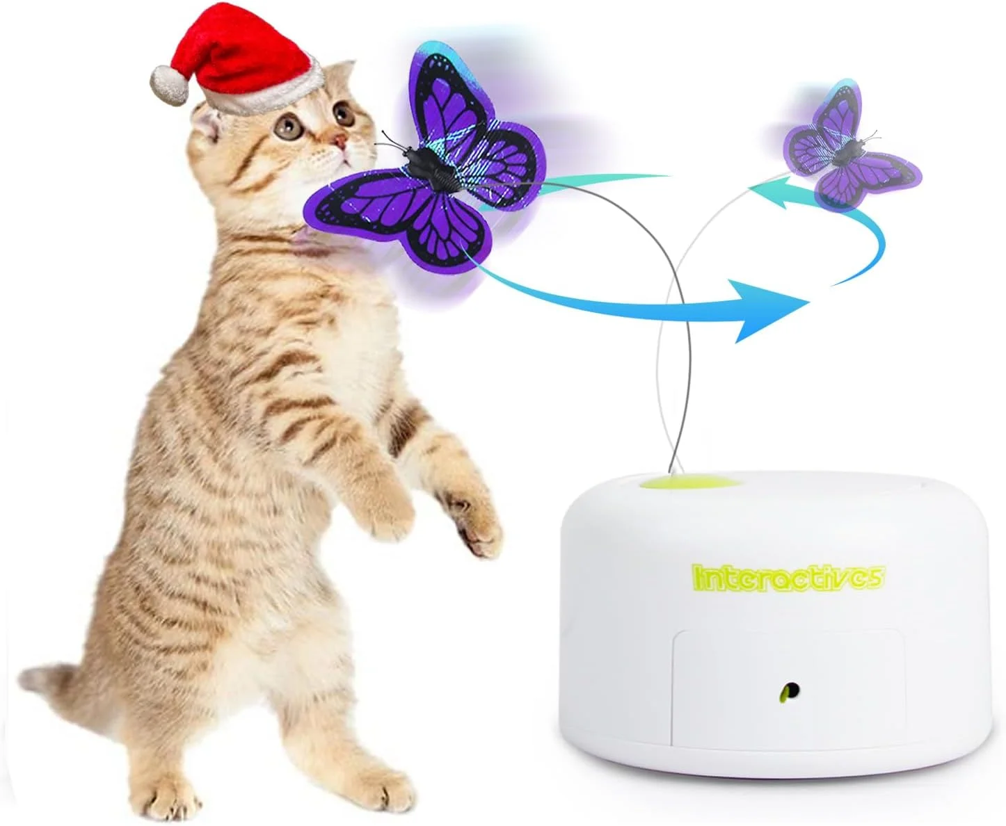 ALL FOR PAWS Motion Activate Cat Toys Interactive Flutter Butterfly Kitten Enrichment Toy: Feline Fun Unleashed