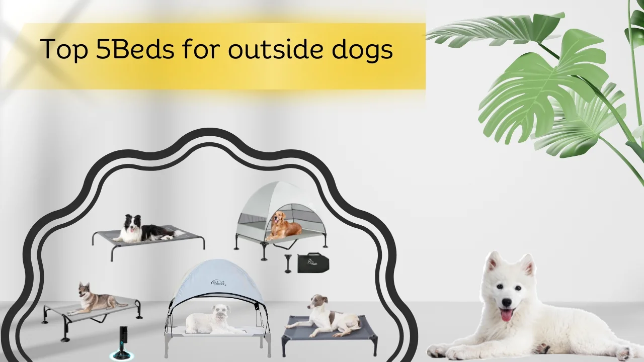 beds for outside dogs