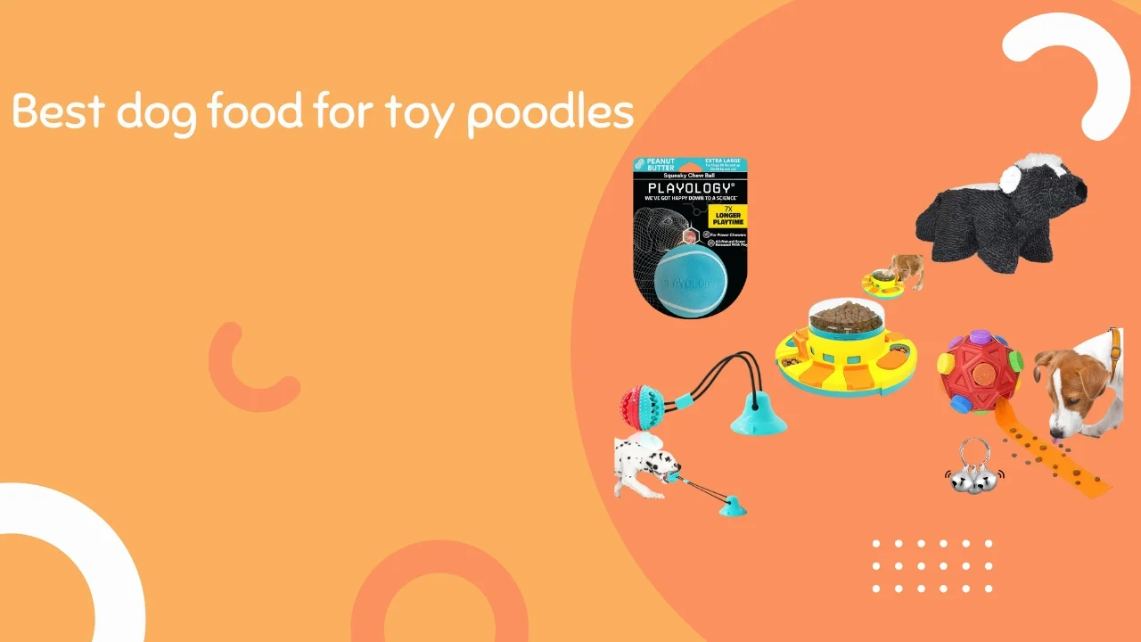 Best dog food for toy poodles